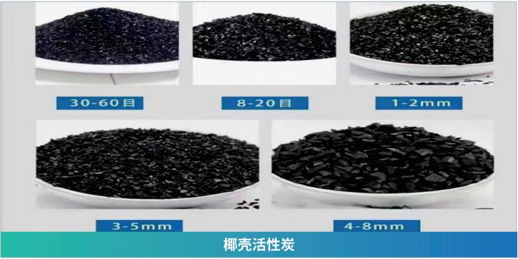 QQ截图20241029125955.jpg